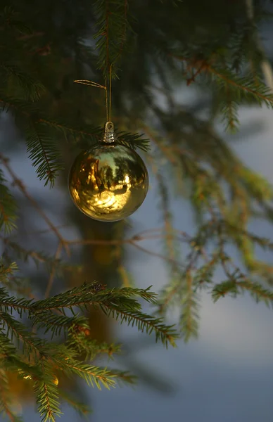 Vánoční stromeček s míčem — Stock fotografie
