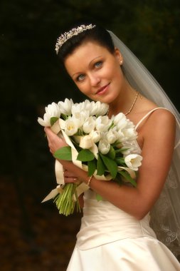 Beautiful bride clipart