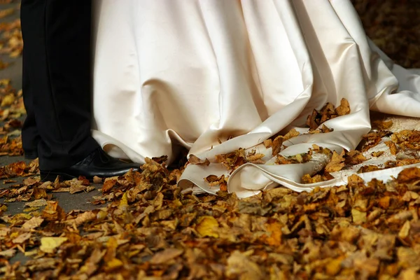 Matrimonio d'autunno — Foto Stock