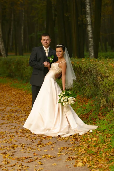 新たに結婚したペア — ストック写真
