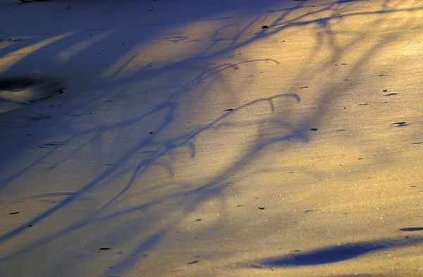 Реальный снежный фон от Мбаппе — стоковое фото