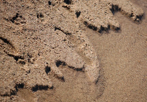 Vagues de sable — Photo