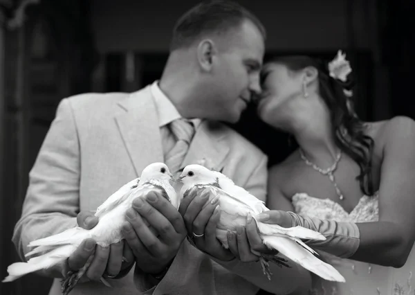 행복 한 새로 결혼 커플 — 스톡 사진
