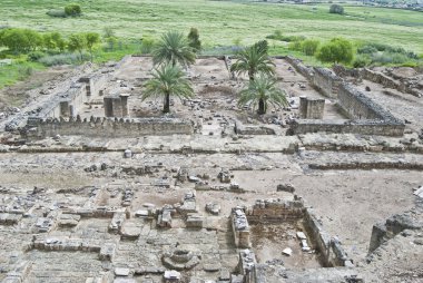 Old mosque in Medina Azahara clipart