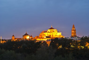 Overview of the Cordoba mosque at night clipart