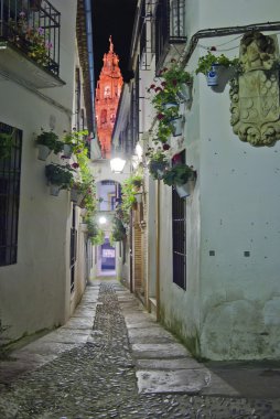 Street Flowers in Cordoba overlooking the mosque tower clipart