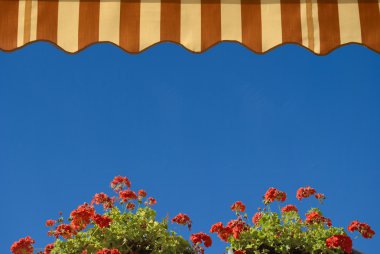 View from terrace of geraniums, and awning