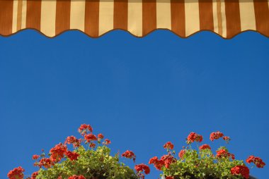 View from terrace of geraniums, and awning clipart
