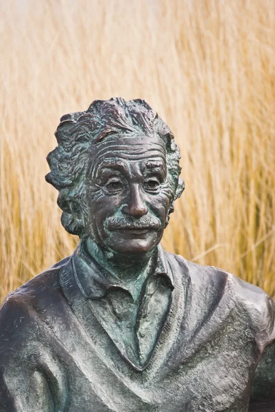 Skulptur des berühmten Wissenschaftlers Albert Einstein — Stockfoto