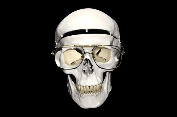 Detalhe da cabeça óssea com óculos — Fotografia de Stock