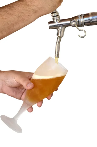 Man serving beer from the shooter — Stock Photo, Image