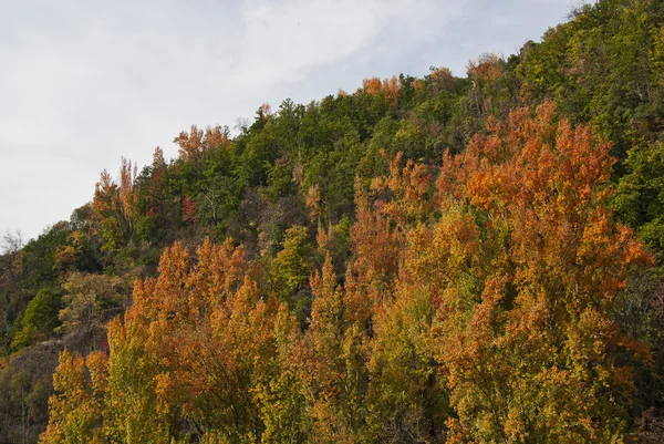 Осень в Альпухарре — стоковое фото