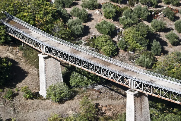 橄榄树在西班牙科尔多瓦之间起桥接 — 图库照片