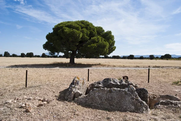 Gorafe megaliittinen hautaaminen — kuvapankkivalokuva