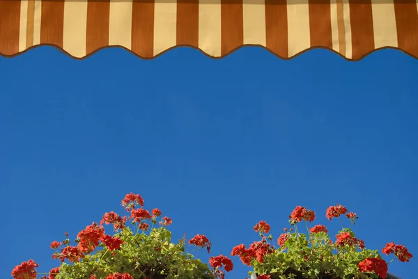 View from terrace of geraniums, and awning — Stok fotoğraf