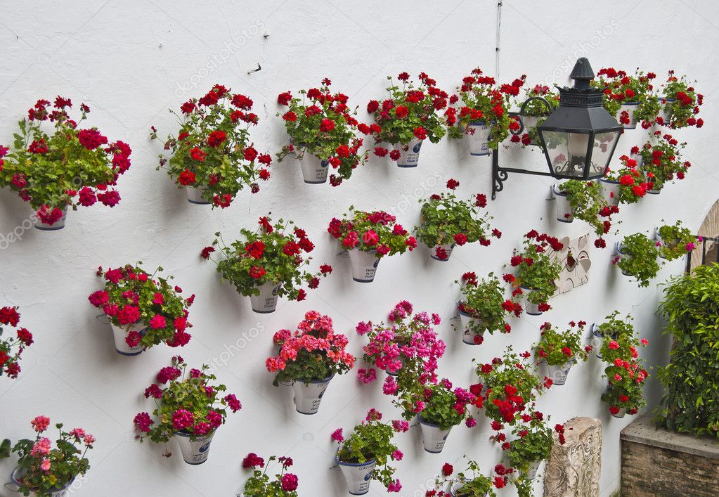 Andalusian patio geraniums — Stock Photo © neftali77 #6166468