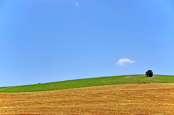 Landscape after the summer harvest — Stock Photo, Image