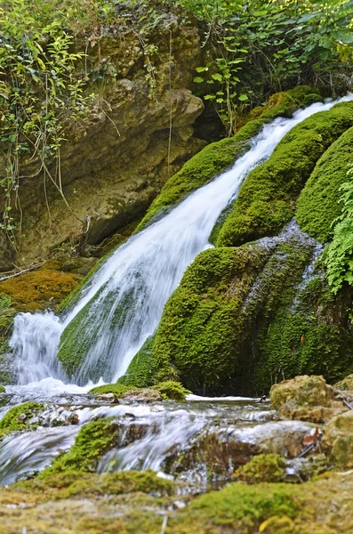 stock image Detail of the Guadalquivir river in Cazorla, Spain