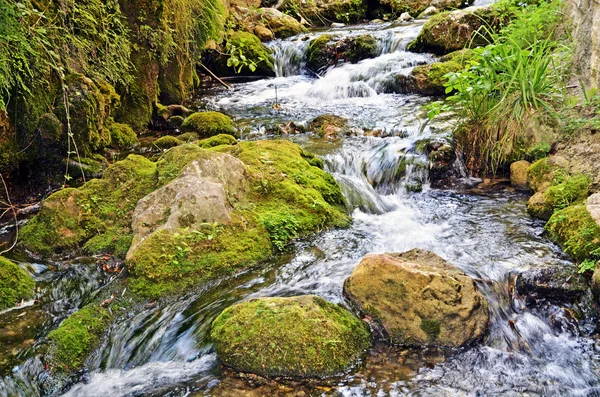 stock image Detail of the Guadalquivir river in Cazorla, Spain