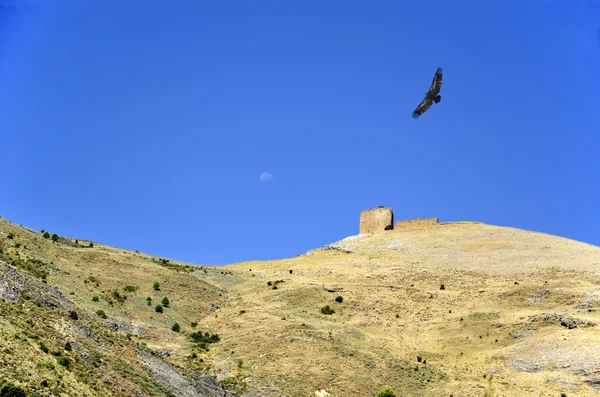 Landscape with moon, vulture and castle ruins in Cazorla — Stock Photo, Image