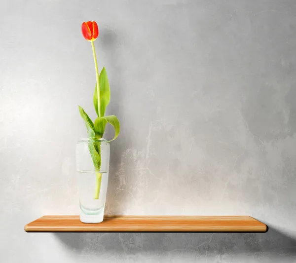 Червоний тюльпан на дерев'яній полиці Стокова Картинка