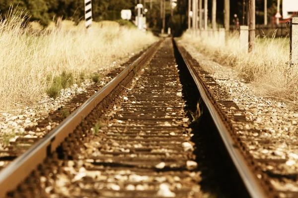 Railway. — Stock Photo, Image