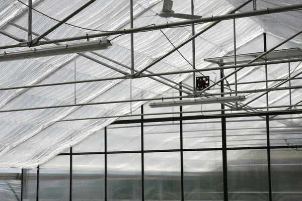 Greenhouse. — Stock Photo, Image