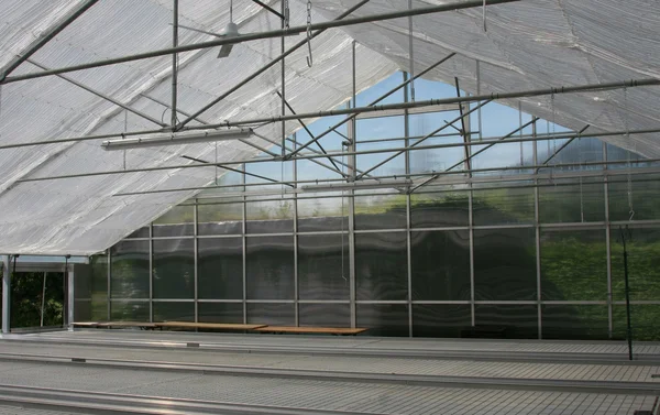 Greenhouse. Stock Picture