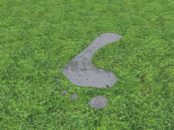 stock image Footprints in the mid grass