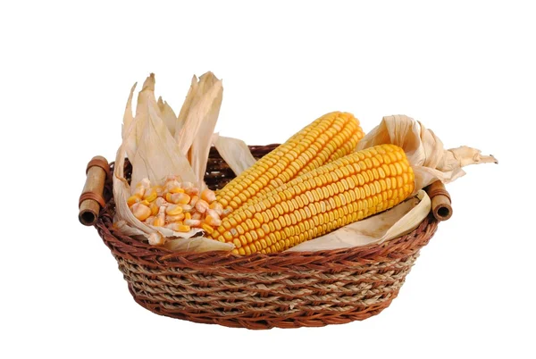 Cesta de palha e espigas de milho — Fotografia de Stock