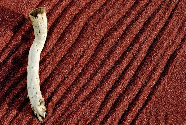 Hintergrund aus rotem Sand mit Stöcken — Stockfoto