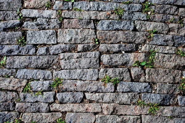 Pedra rua fundo — Fotografia de Stock