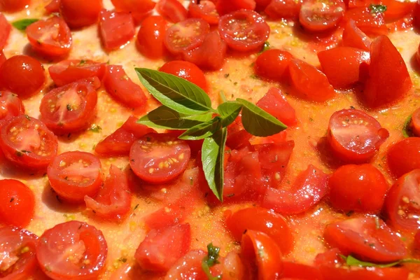 Liście bazylii i małych pomidorów — Zdjęcie stockowe