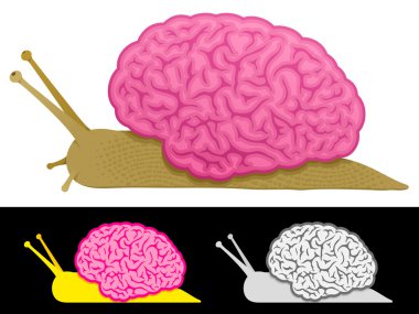 Slow thinking snail brain clipart