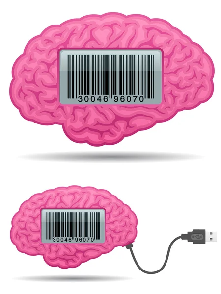 Brain with barcode screen and usb cable — Stock Vector