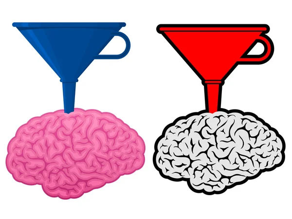 Cerveau avec entonnoir à cône — Image vectorielle