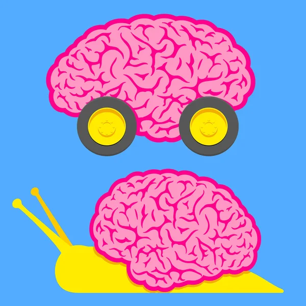 Cerebro rápido sobre ruedas y cerebro lento de caracol — Vector de stock