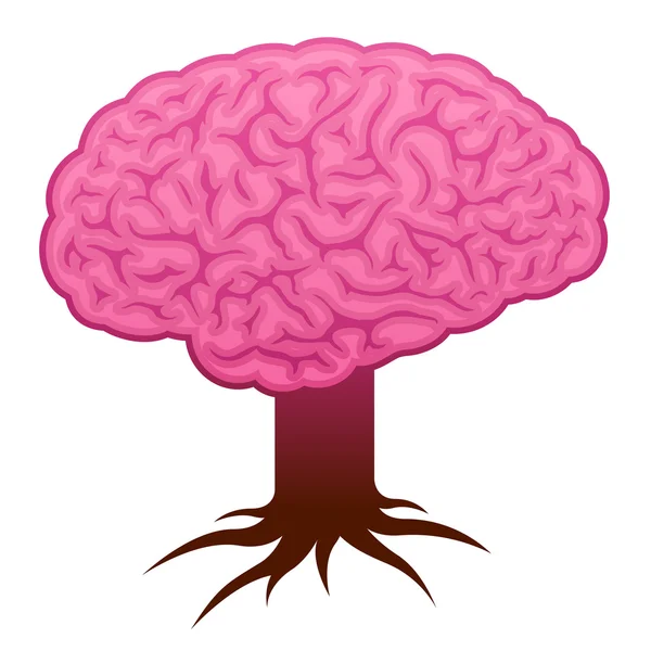 Cerebro con tallo y raíces — Vector de stock