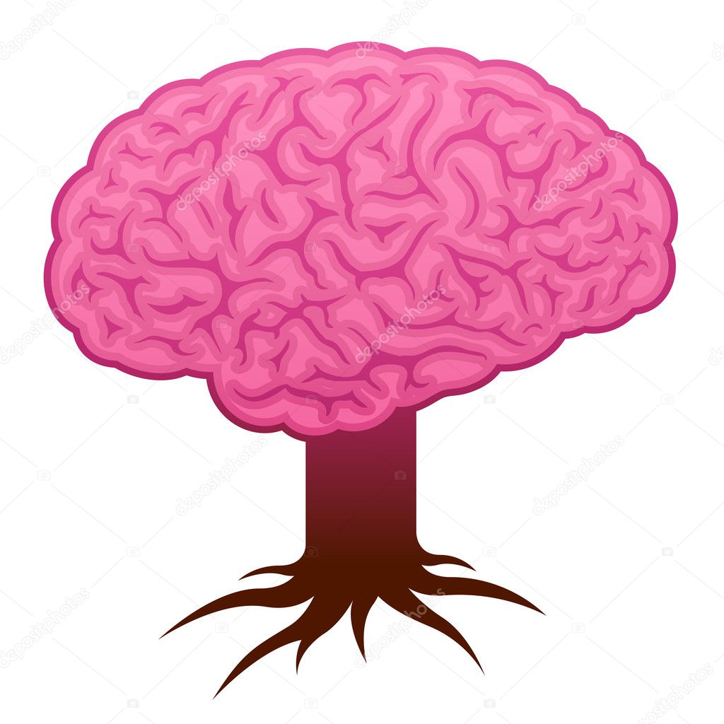 Brain with stem and roots