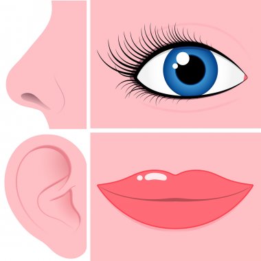 Nose, eye, ear and mouth collection