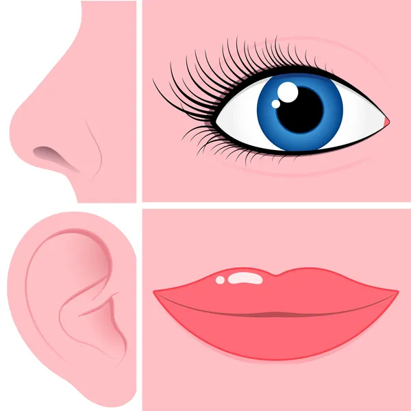 Colección de nariz, ojo, oreja y boca — Vector de stock