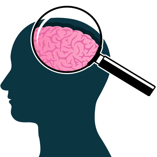 Männliche Kopfsilhouette mit Lupe und Gehirn — Stockvektor