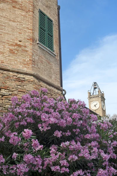 Monterado (アンコーナ、行進、イタリア) 歴史的な宮殿とピンク hy — ストック写真