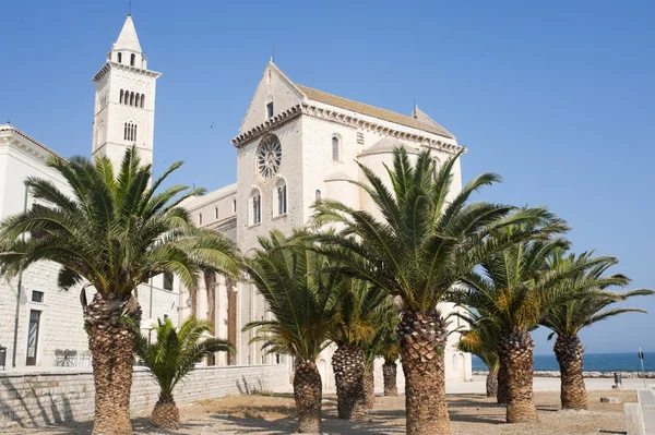 Trani (puglia, Włochy) – średniowieczna Katedra i palmy — Zdjęcie stockowe