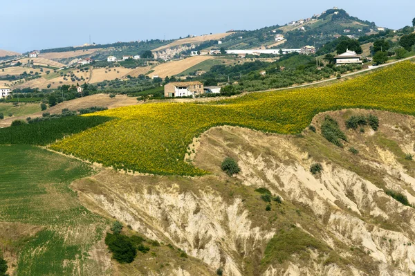 Krajobraz parku przyrody Atri (teramo, Abruzja, Włochy), w lecie, — Zdjęcie stockowe