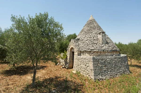 Murge (Апулія, Італія) - trullo та оливкових дерев — стокове фото