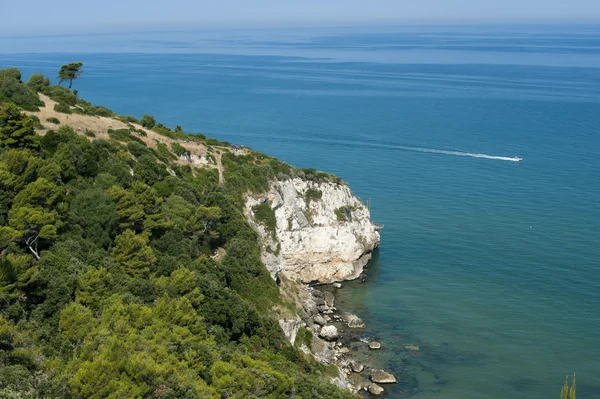 Die Küste des Gargano (Apulien, Italien) im Sommer — Stockfoto