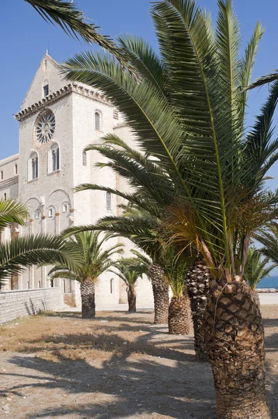 Trani (Puglia, Italy) - Medieval cathedral and palm trees — Stock Photo, Image