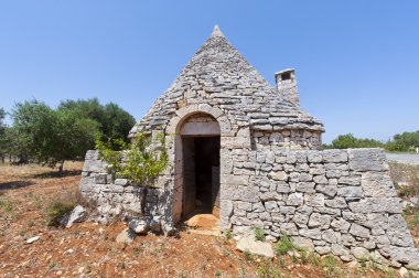 Murge (Puglia, italy) - Trullo and olive trees clipart