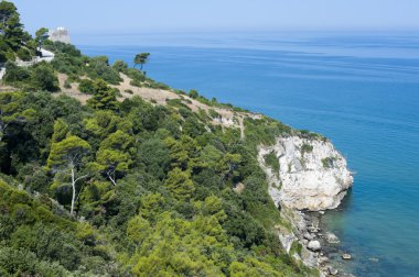 gargano (puglia, İtalya), yaz kıyısında